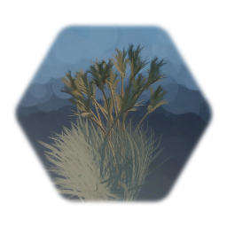 Pampas Grass (Cortaderia selloana)