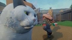 A Meeem presented to you by Mann Co!