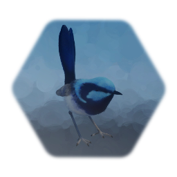 Blue Wren