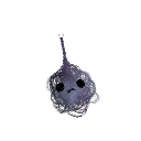 TherandomestRat