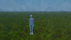 Mini-Game 3 Catch The Theif Medium