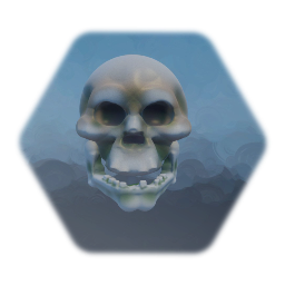 Skull