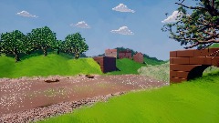 temothy died fall into a bridge