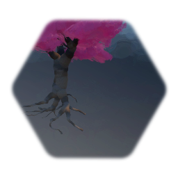 Cherry Blossom