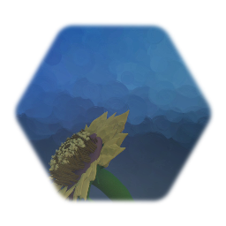 a single sunflower
