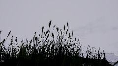 My Creation - 5/26/2022