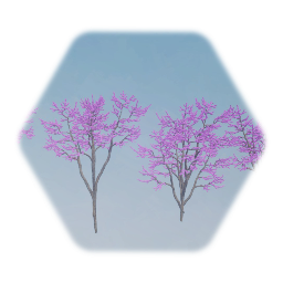 Eastern Redbud Tree (Forest Pansy)