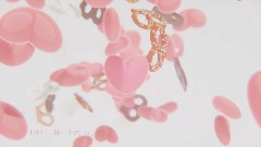 Have a good time Showcase