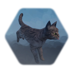 Playable Cat