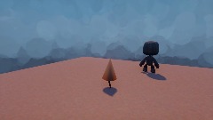 Sackboy Test