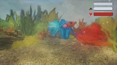 My Pet Fish