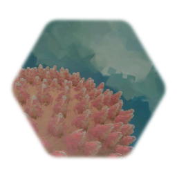Coral (Staghorn)
