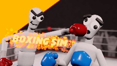 Boxing sim