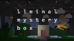 liminal mystery box
