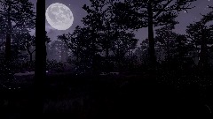 Night Forest Plunge