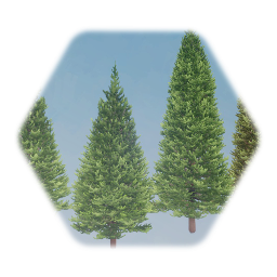 Douglas Fir Tree (Full)