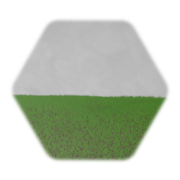 Big Grass land