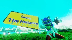 Sonic The Hedgehog MISPLACED