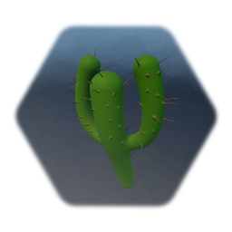 Cactus 2