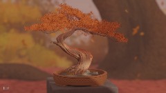 Bonsai