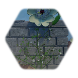 Passiflore {WIP}  05/04/2022