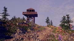 Lookout Mountain Hike