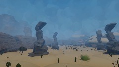 Desert Environment