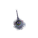 swainefromninoku