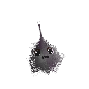 qoreqore