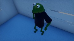 The sad live (kermit)