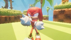 Knuckles Fight