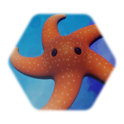 Cute little starfish / sea star