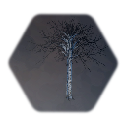 Thin Dead Aspen Tree