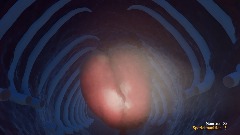 Mystery flesh pit fan 2