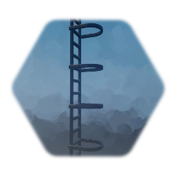 Ladder with guarding