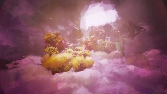 Paradise Among The Clouds