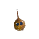 SfinctahZ