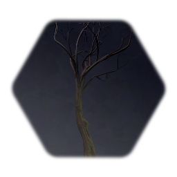 Twisted Tree