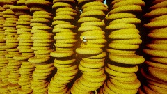 The Rocky Canyons Area