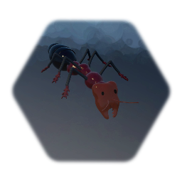 Ant