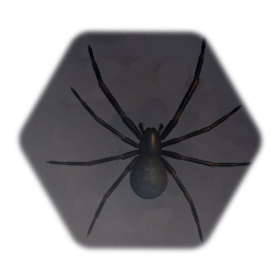 House Spider