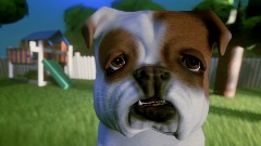 DirtyHarolds stuff 'n' things 2