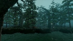 Gentle rain in the forest