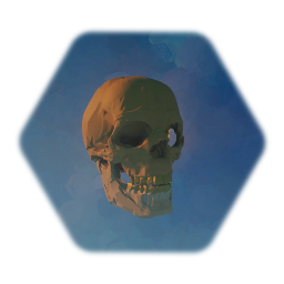 Realistic Skull