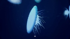 A screenshot taken in Dreams. 2 of 8.