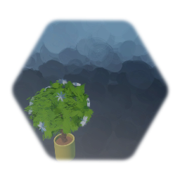 Arbre fleurs blanches