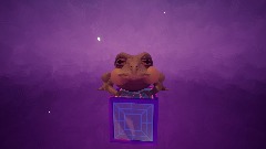 Frog Space Race