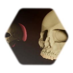 Skull