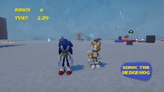 Sonic multiplayer