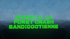 Niveau 3: la forêt crash bandicootienne